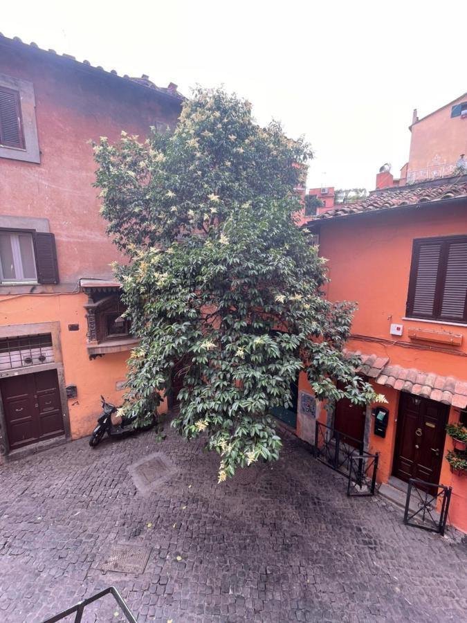 Appartamento Domus Remi Roma Esterno foto